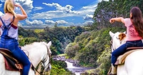Wailea Horseback Adventure on Hawaii Big Island  Horseback, Snack & Swim Tour
