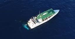 Private Charter - Humpback Whale Watching & Dolphin Search