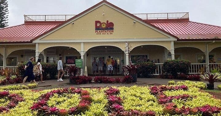 Private VIP Limousine Tour "Dole Plantation" & the "North Shore"