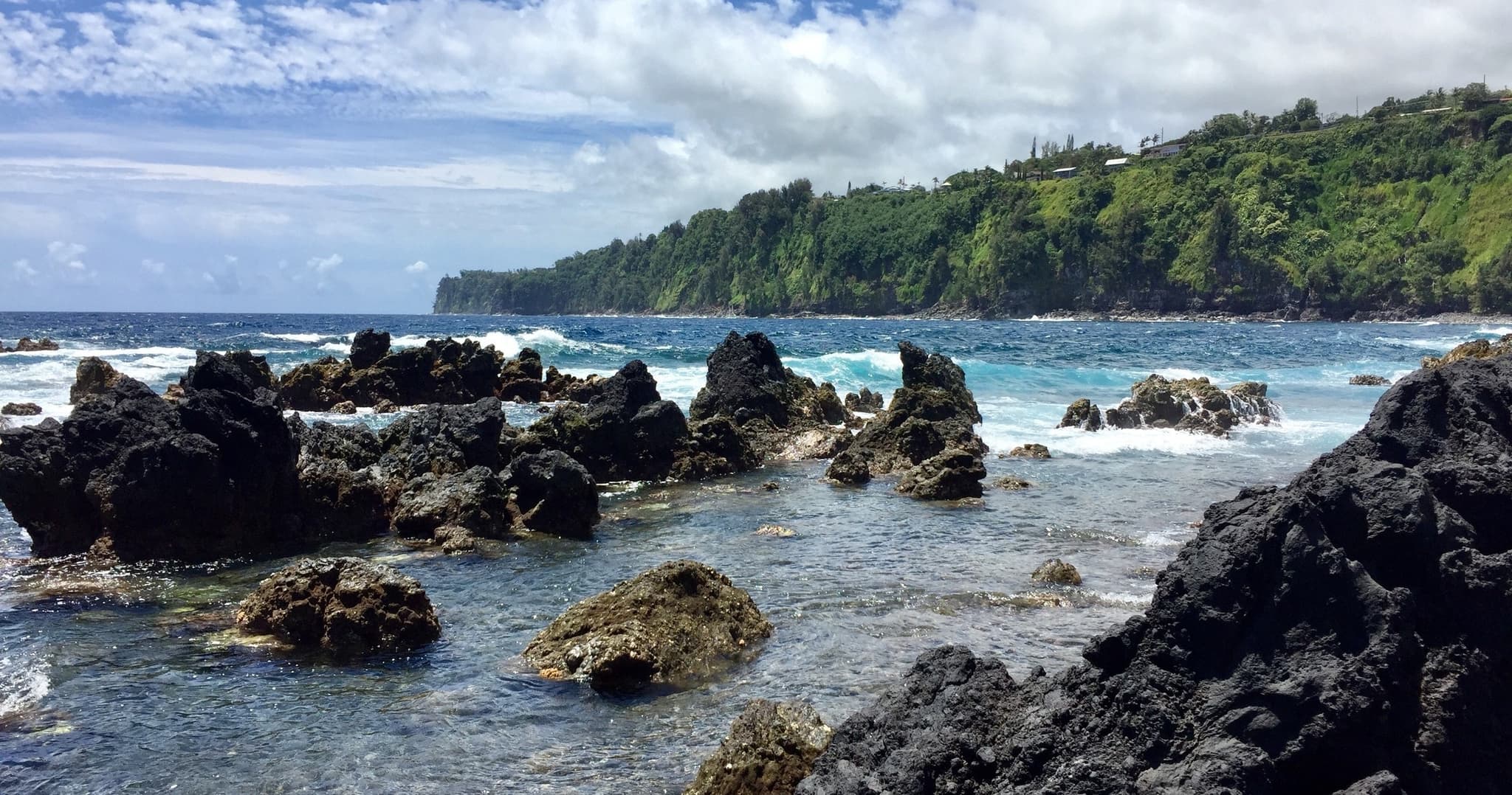 PRIVATE Heavenly Hamakua from Kona