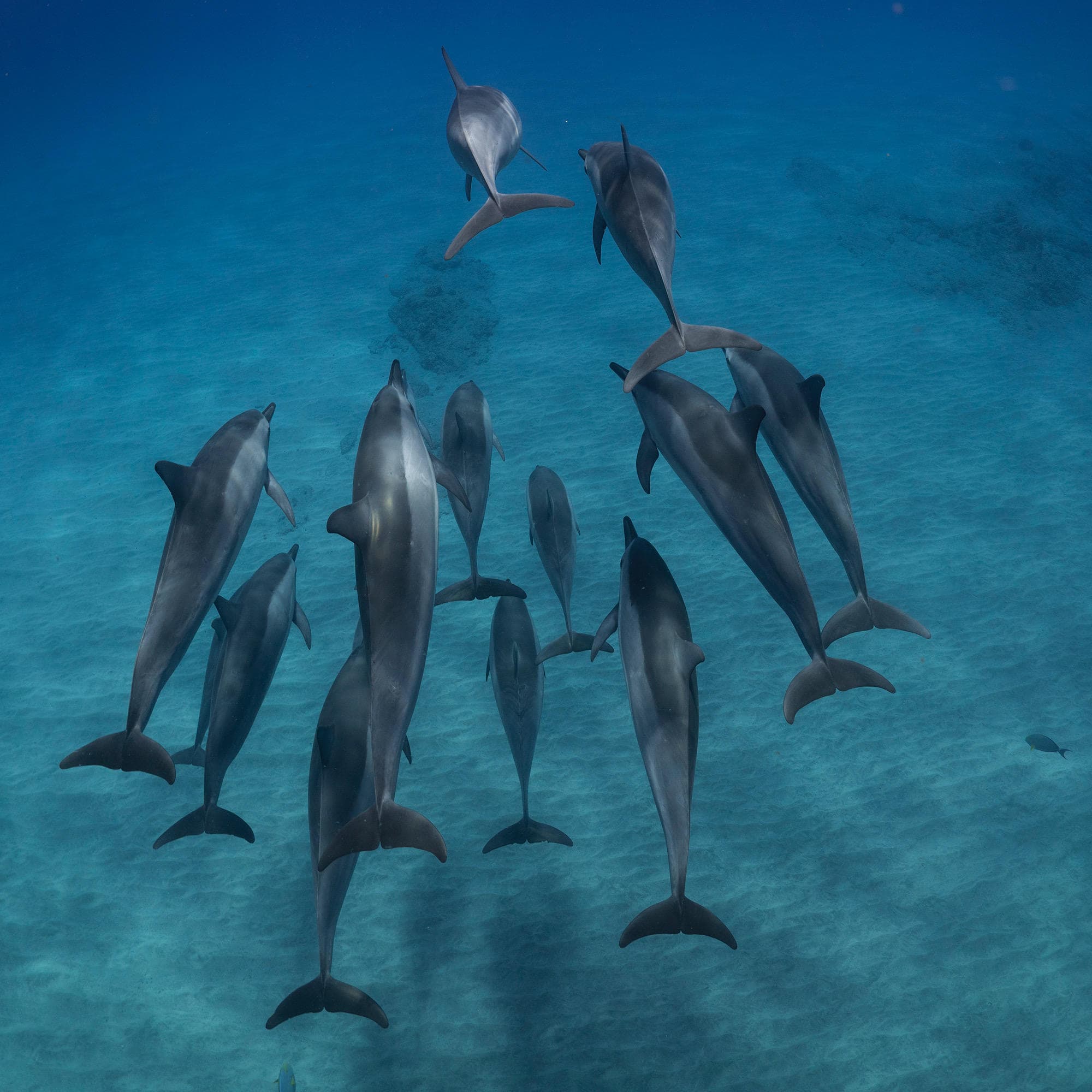 Na Pali Coast Tour on the Makana (up to 12 passengers)