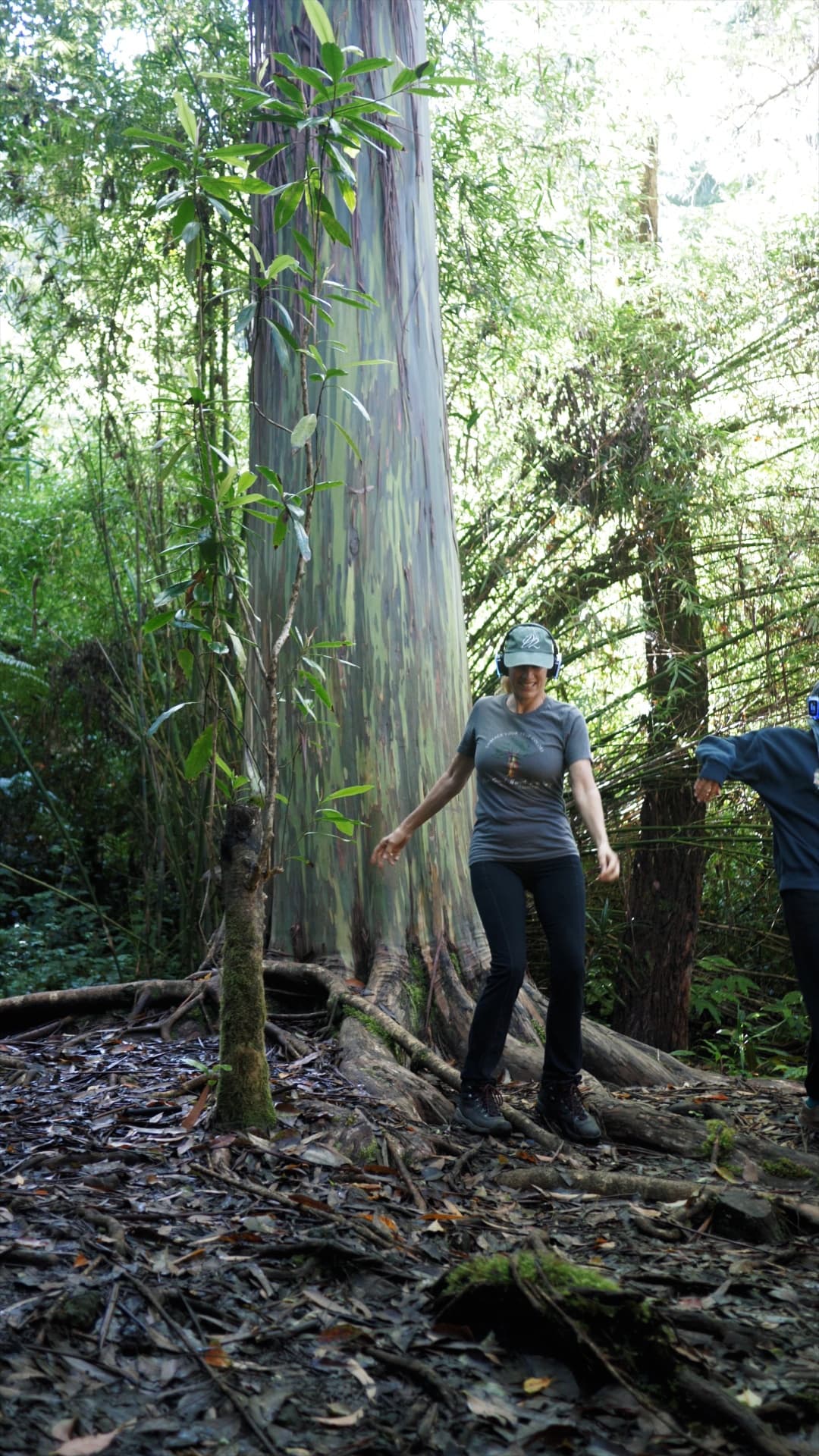 Exploring Within: A Music & Movement Journey in Nature (Sundays)