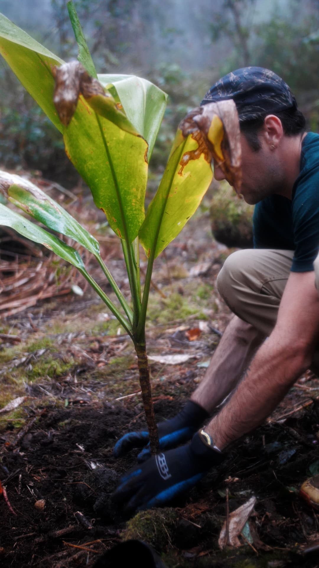 Mālama 'Āina Service Event