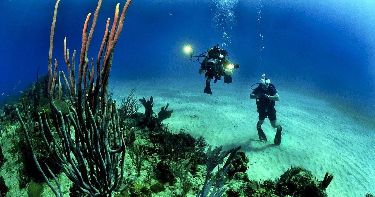 ミックスダイビングプラン