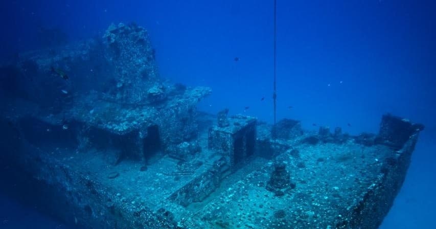 SeaTiger Shipwreck Free-Diving Tour