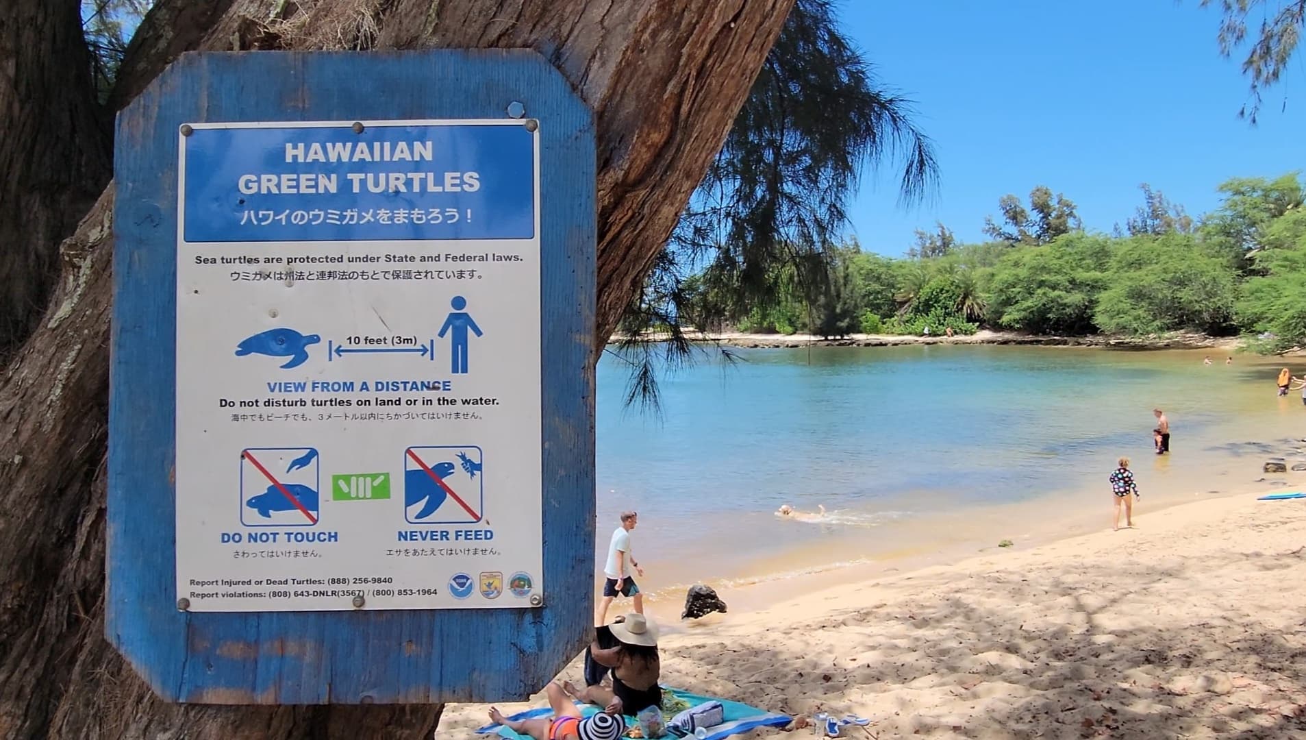 Northshore Circle Island Adventure