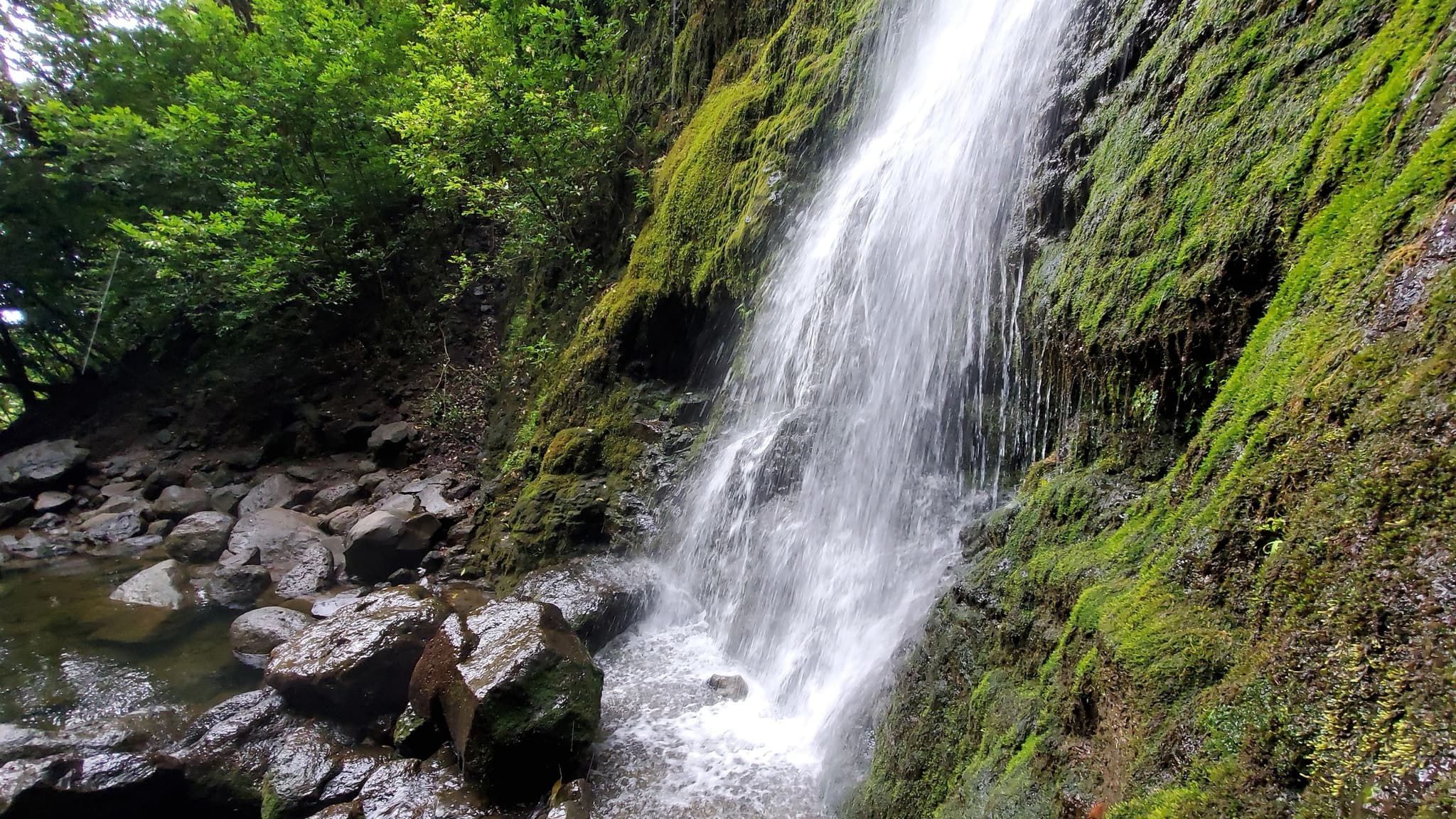 Jungle Waterfalls Adventure