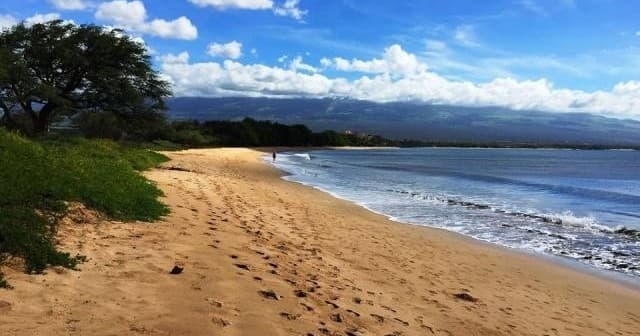 The Maui Island Tour, Private Charter