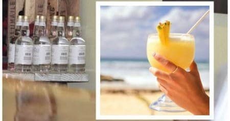 Iao Valley, Tropical Plantation & Lavender Farm