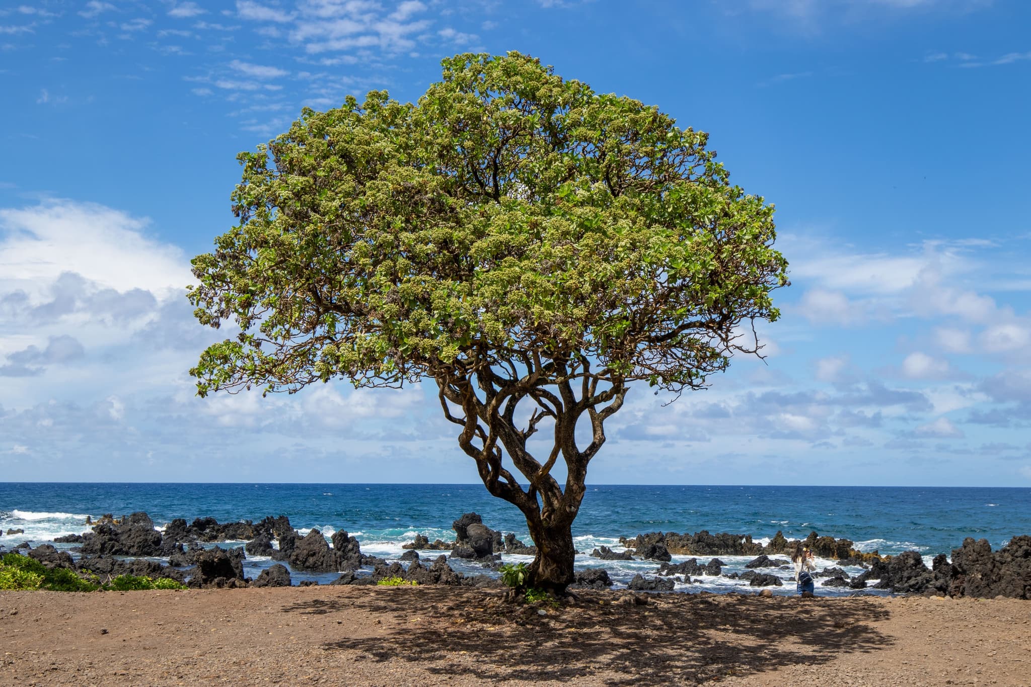 Hana & Back Adventure Tour: Luxury Expedition