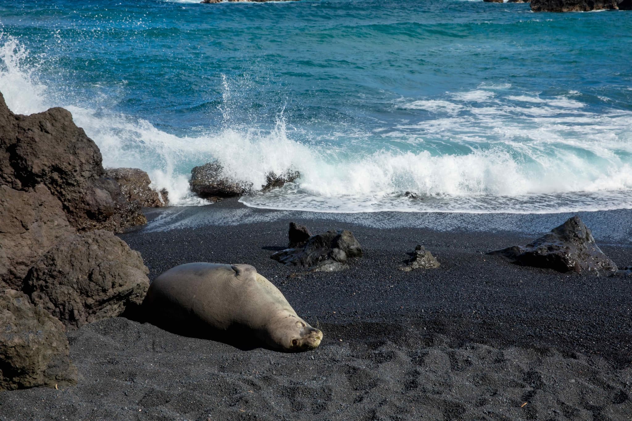 HANA REVERSE FULL LOOP TOUR