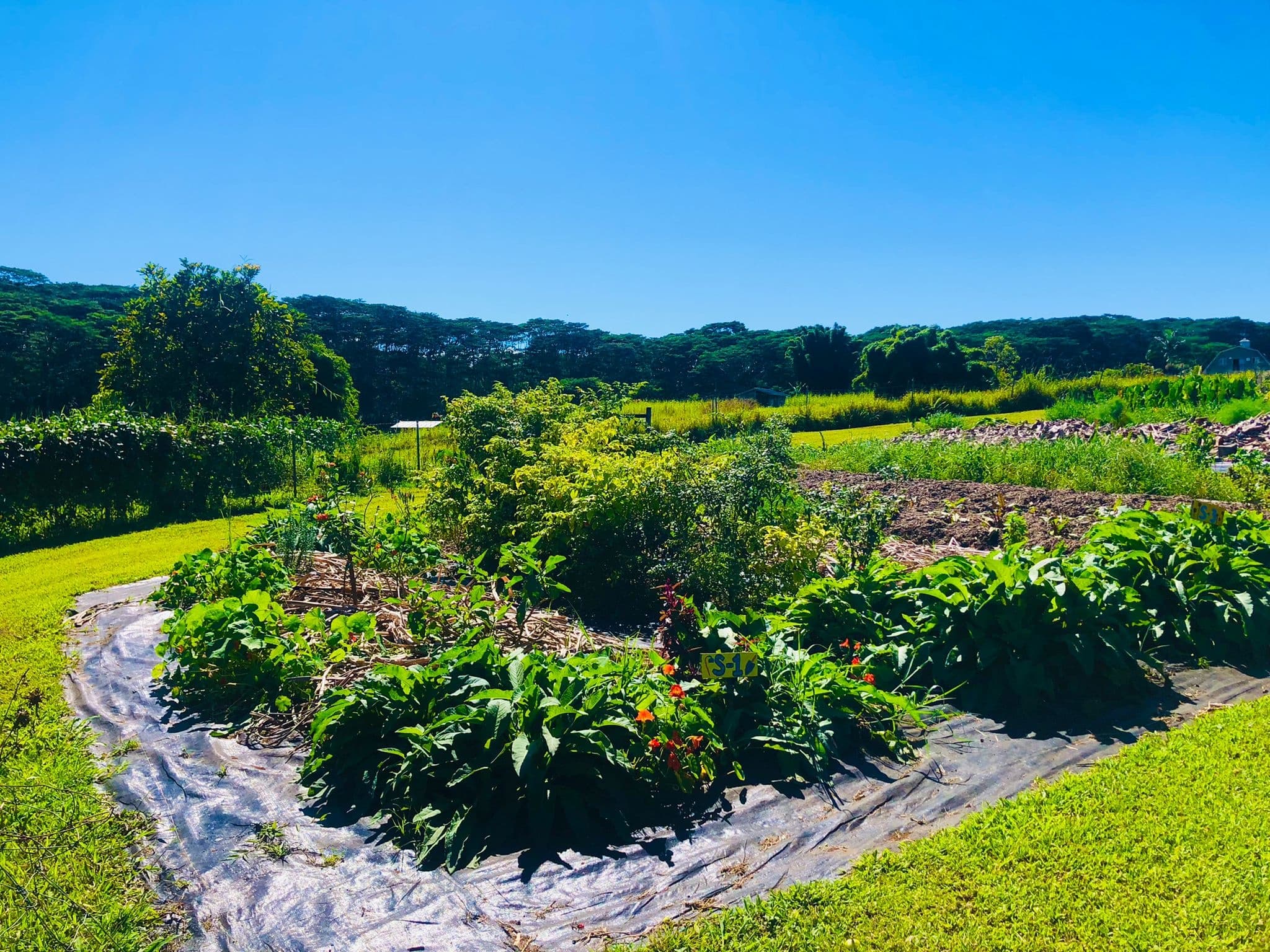 Kulaniapia Farm Tour
