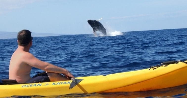 Kayak, Snorkel & Waterfall Combo Tour