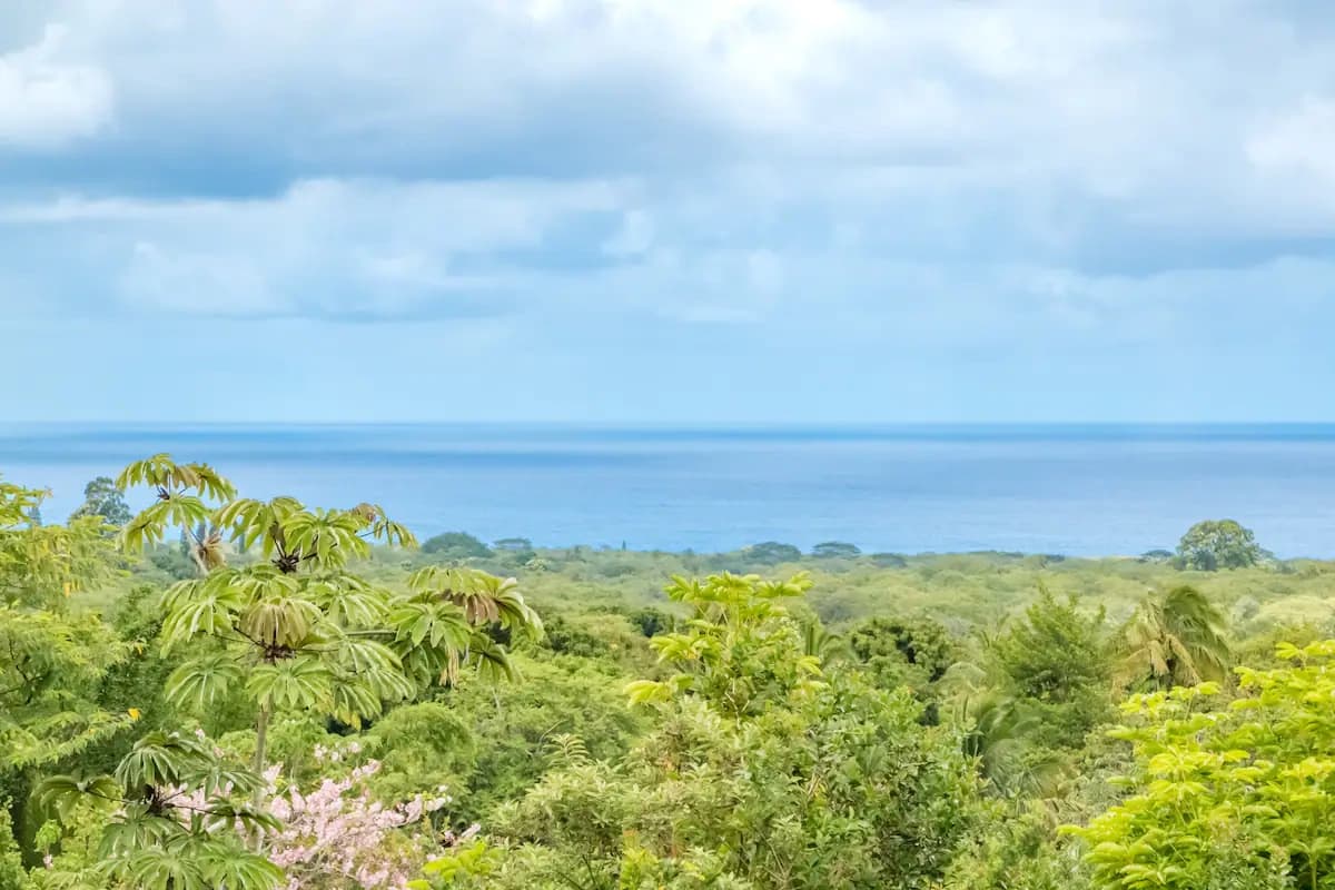 Hawaii Wedding and Elopement Jungle Getaway