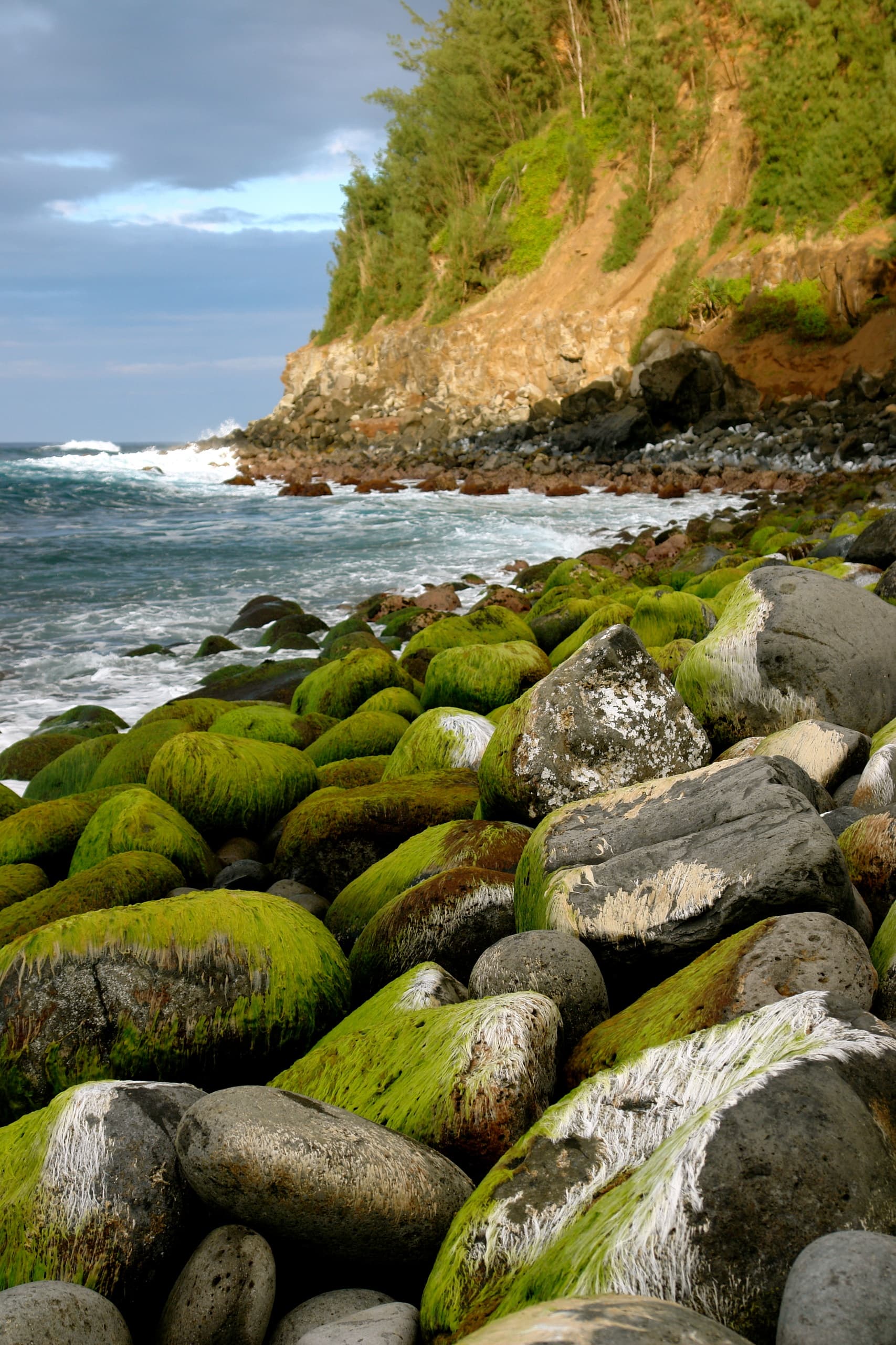 Nurkowanie z akwalungiem - Dive Oahu