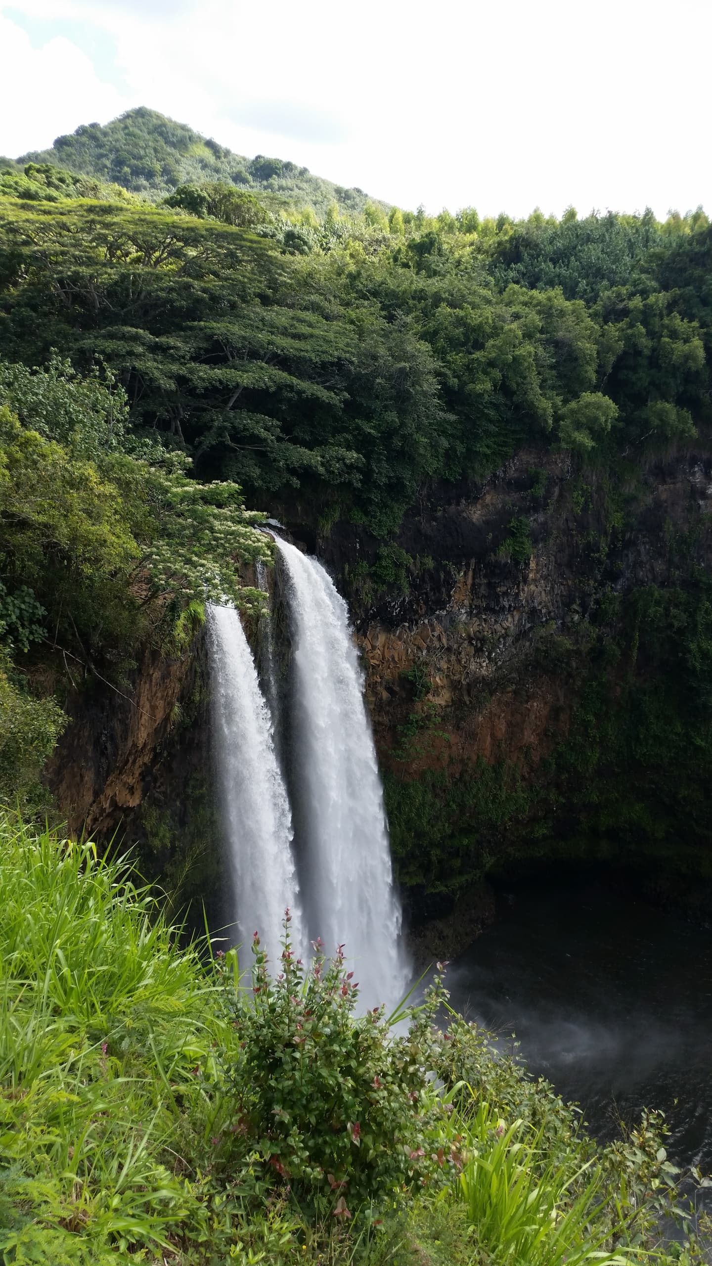 Private North Shore and Waterfalls Tour