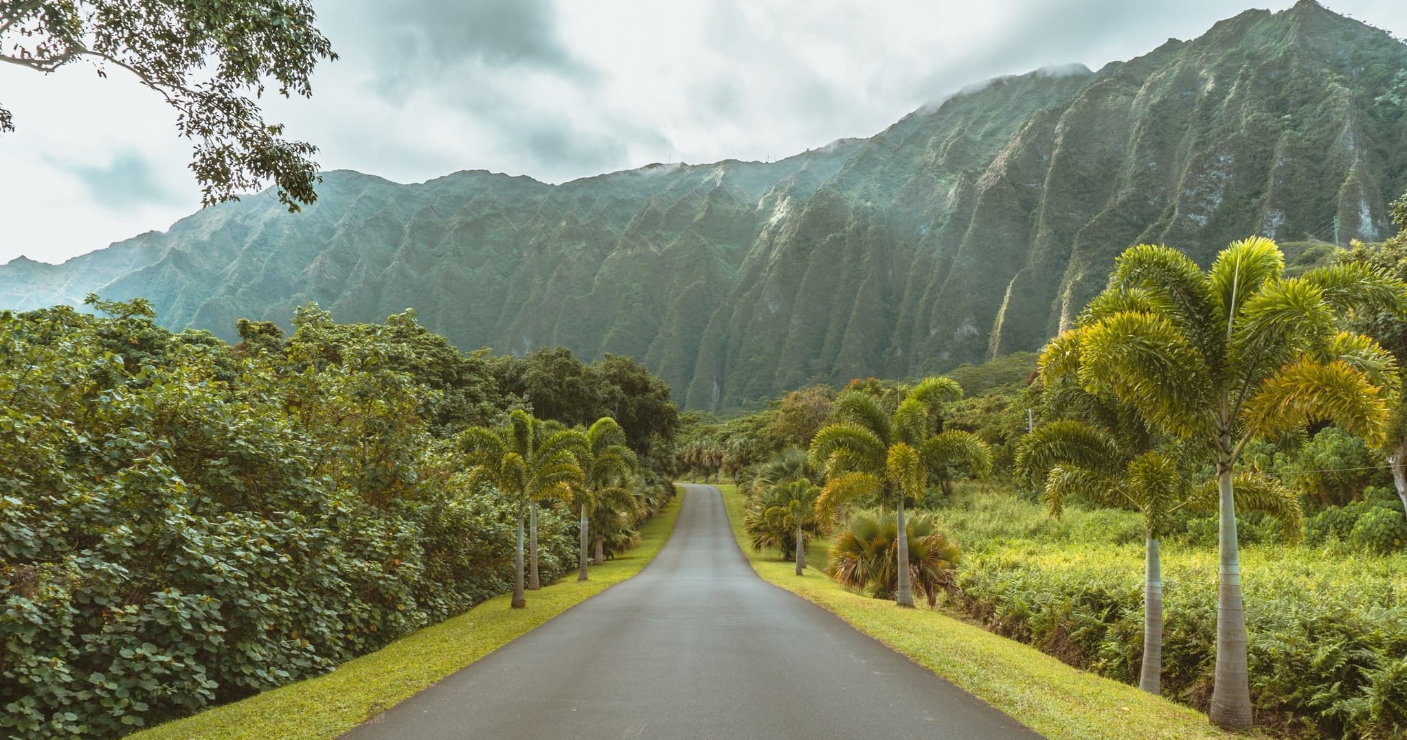 Oahu Circle Island Tour - Private Tour