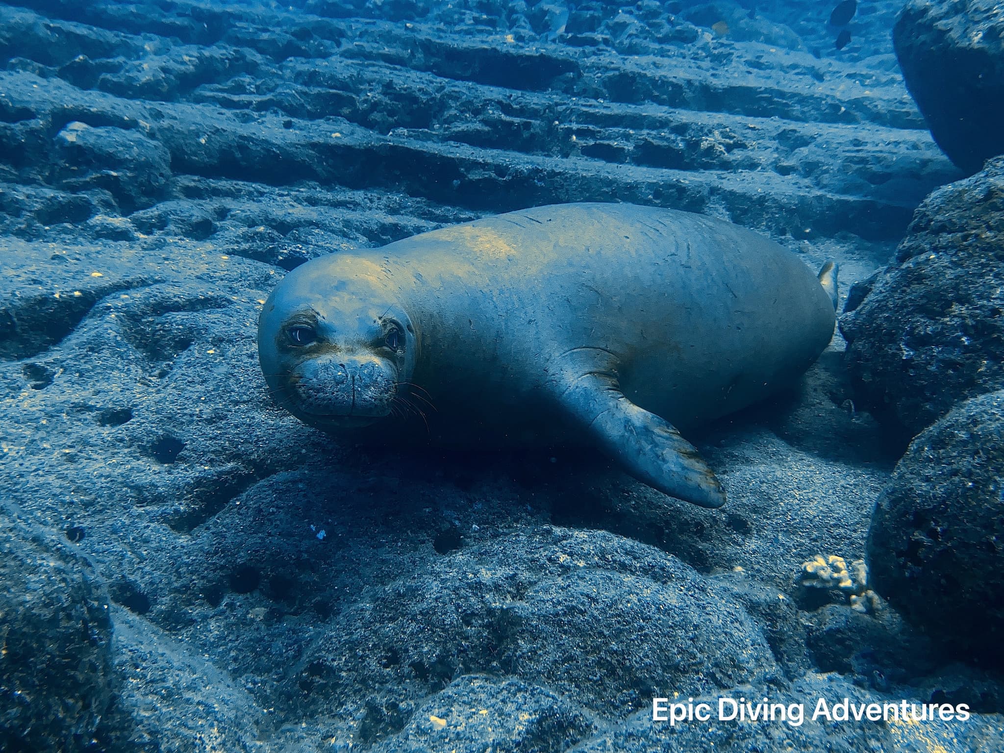 Ahukini Ocean Clean up