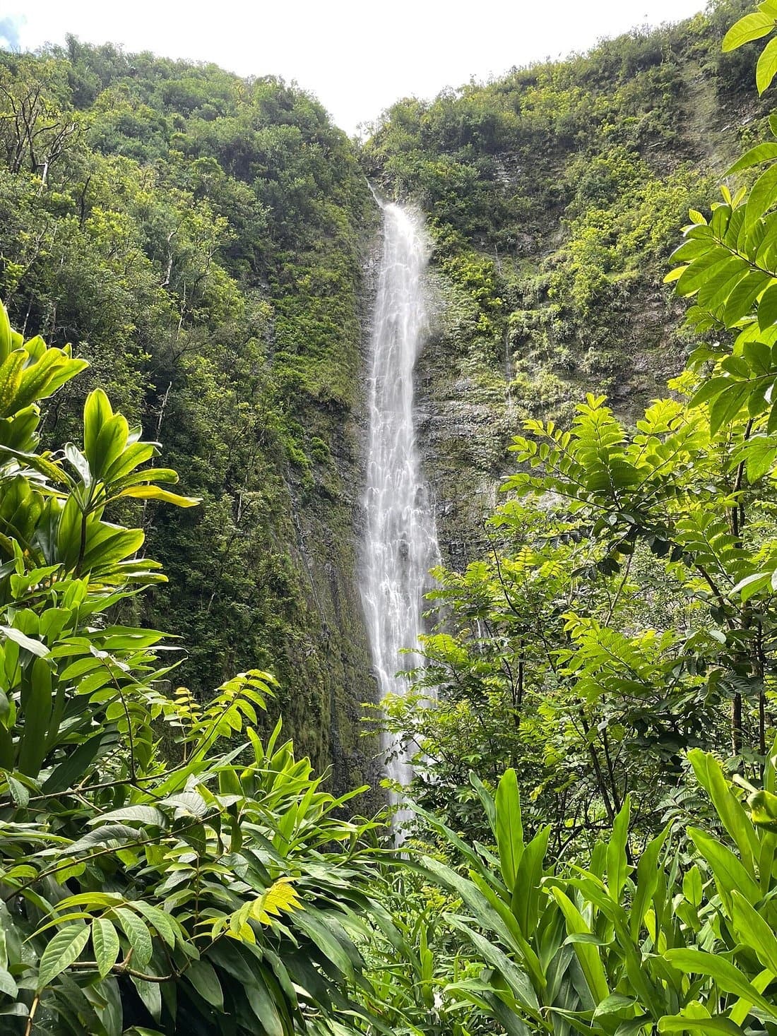 Small Group Full Day Road to Hana Adventure