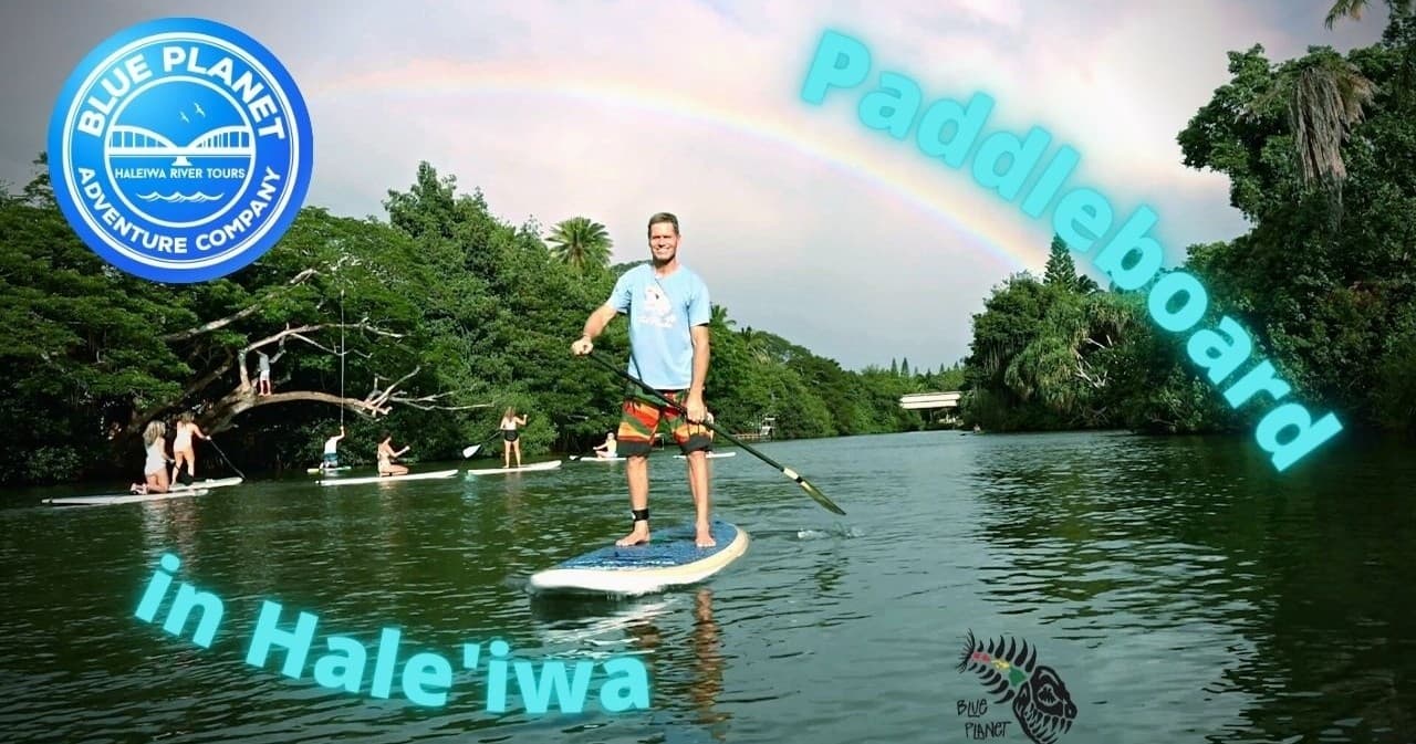 Paddle Rentals