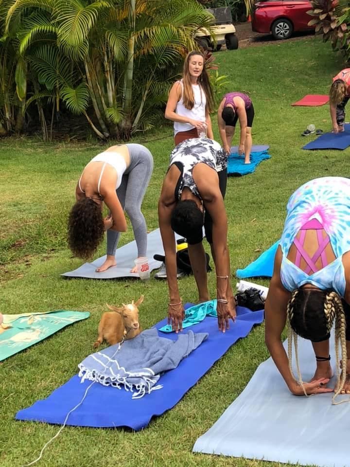 Goat Yoga with a Sweet Twist!