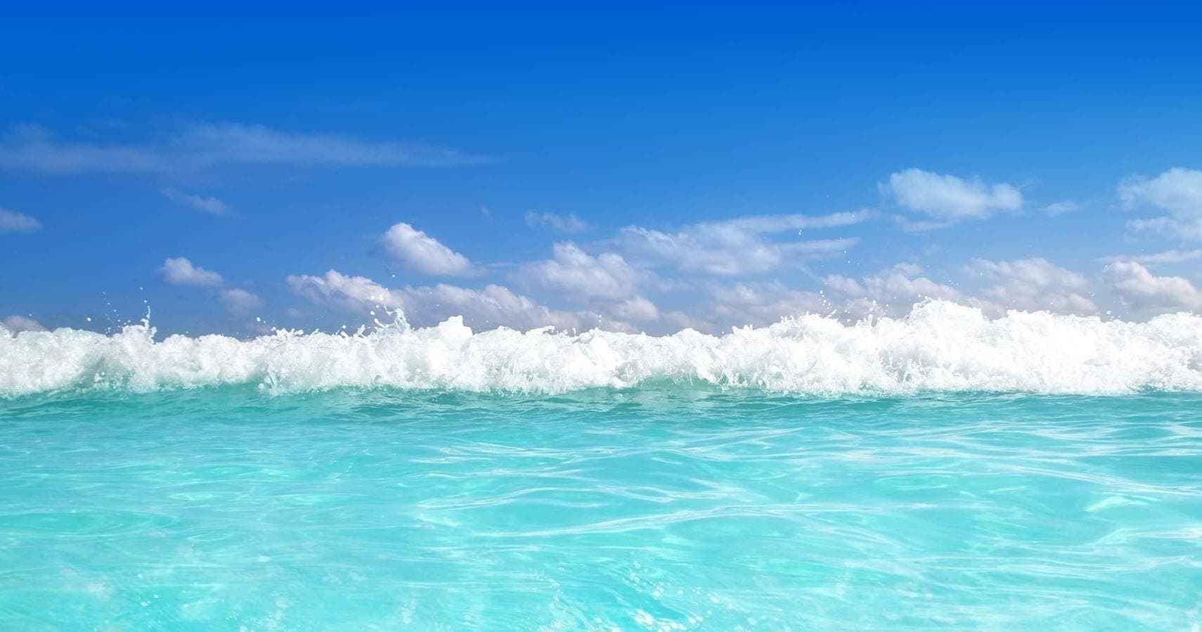 Westin Resort - Ocean Beach Dives