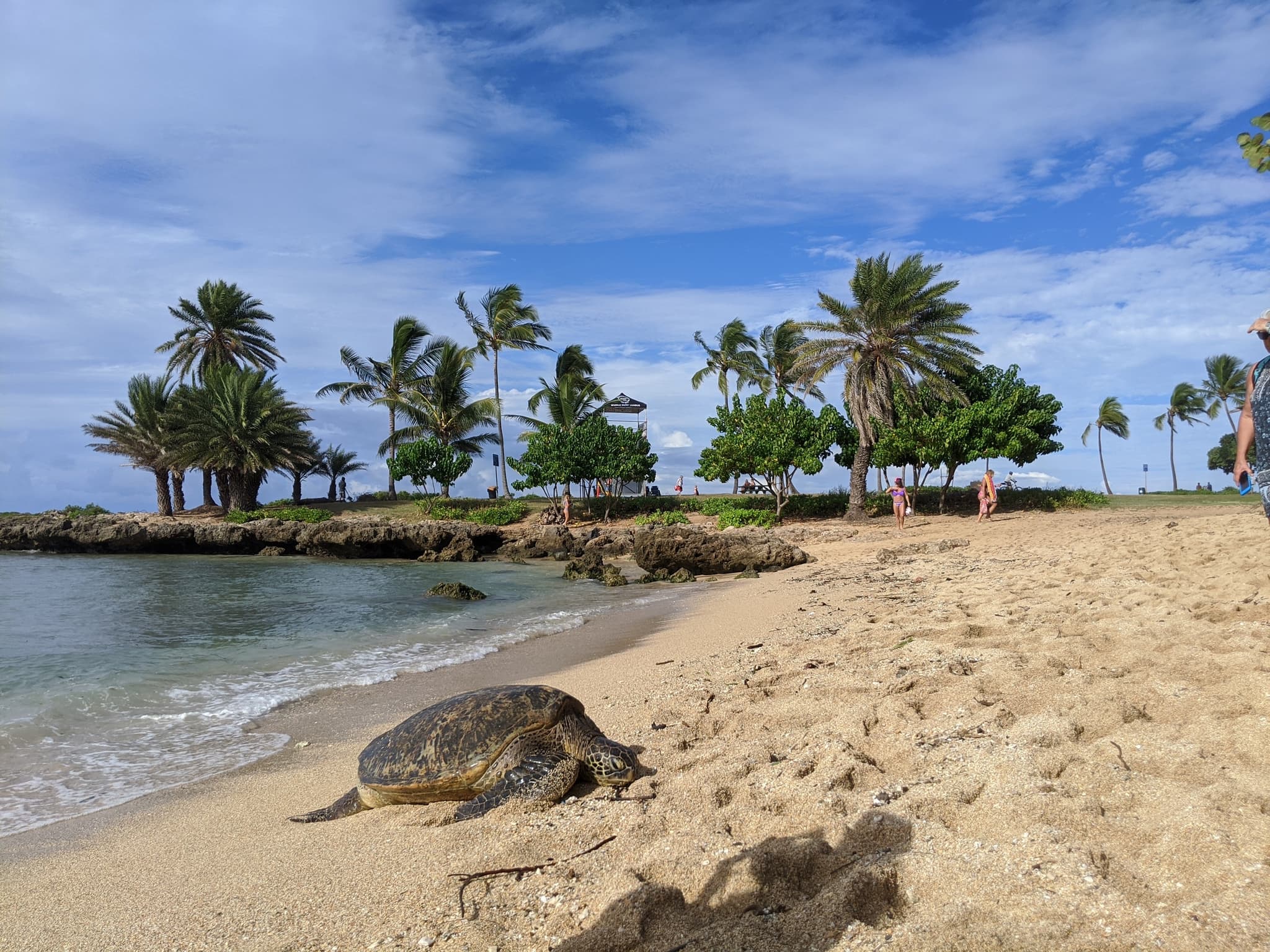 North Shore Adventure Tour