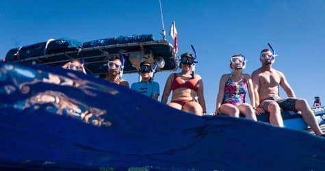 The Famous 3 Hour Molokini Plus and Turtle Town