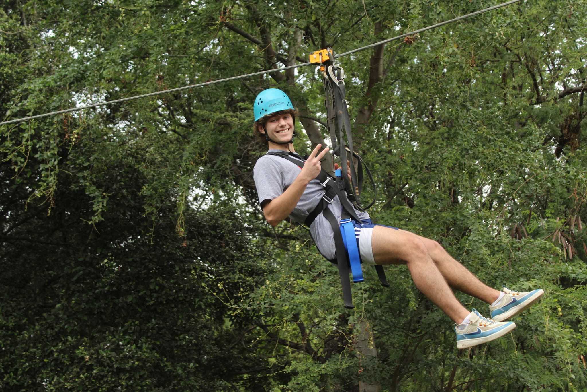 Zipline & Dolphin Watching Snorkel Adventure