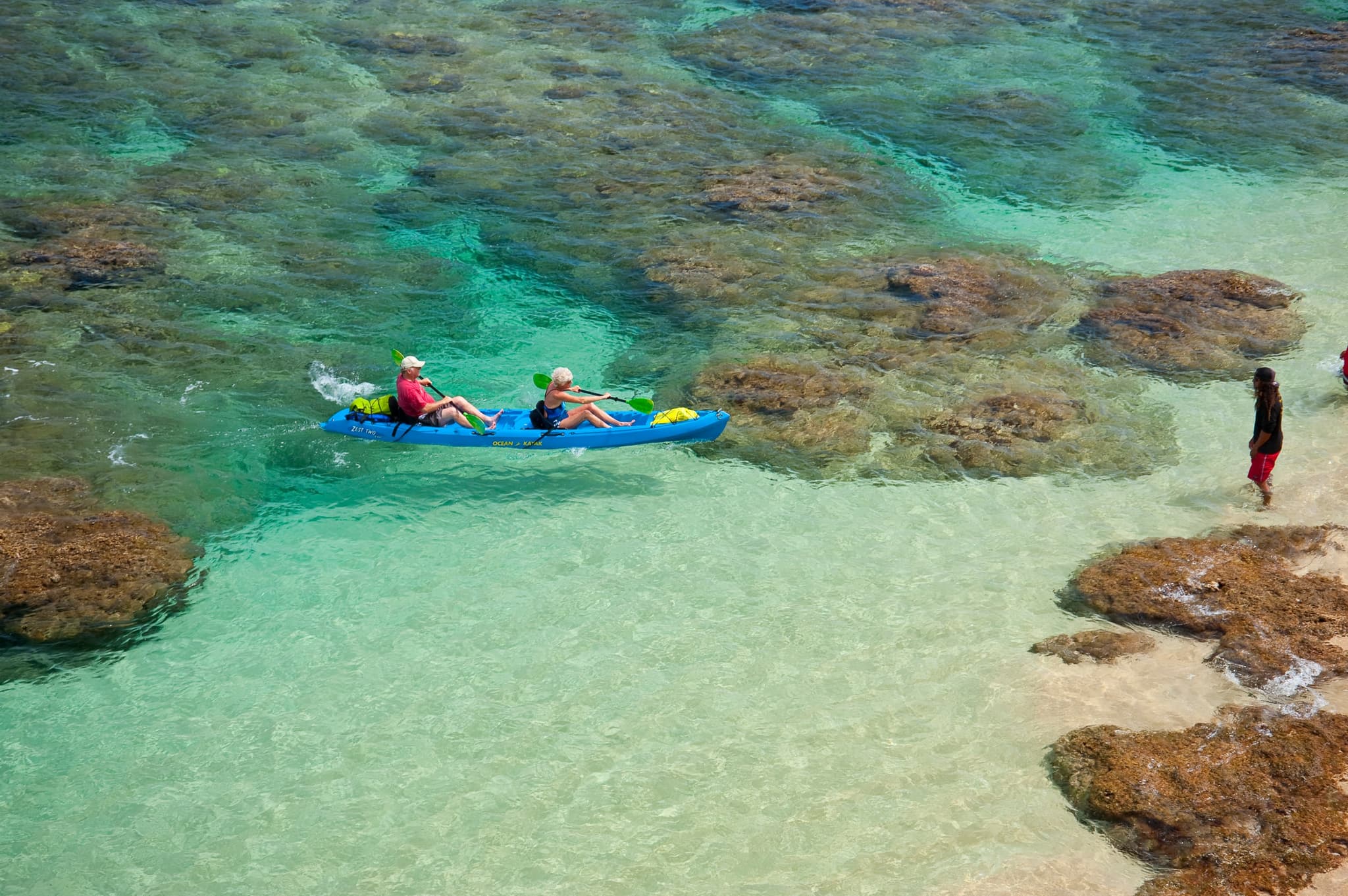 Morning Bay Explorer