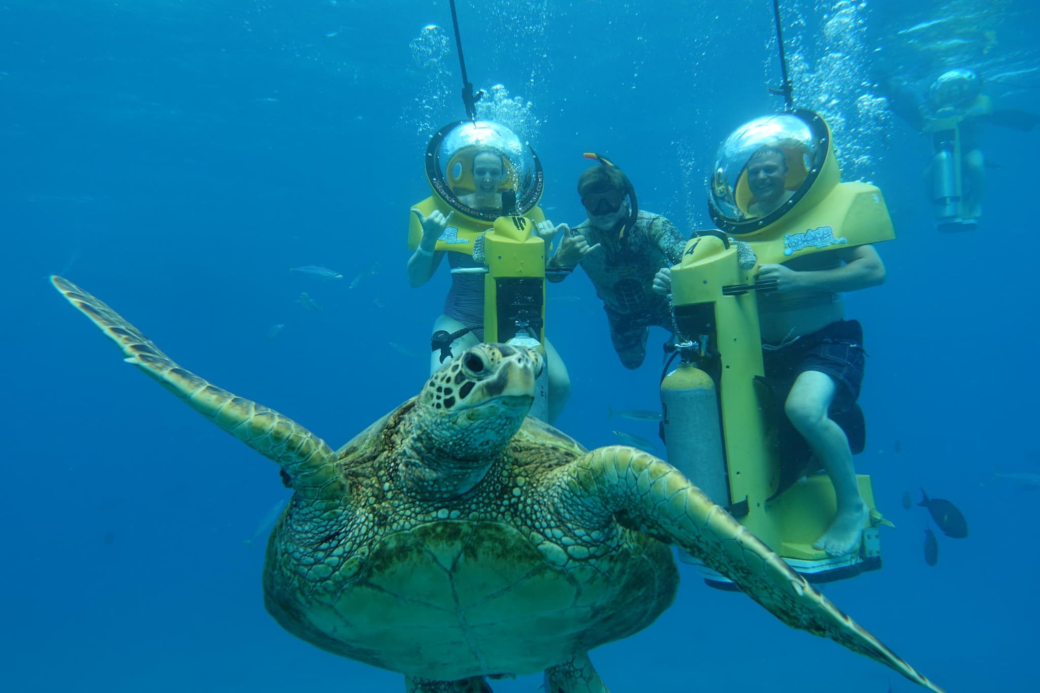 Submarine Scooter & Turtle Snorkeling Tour