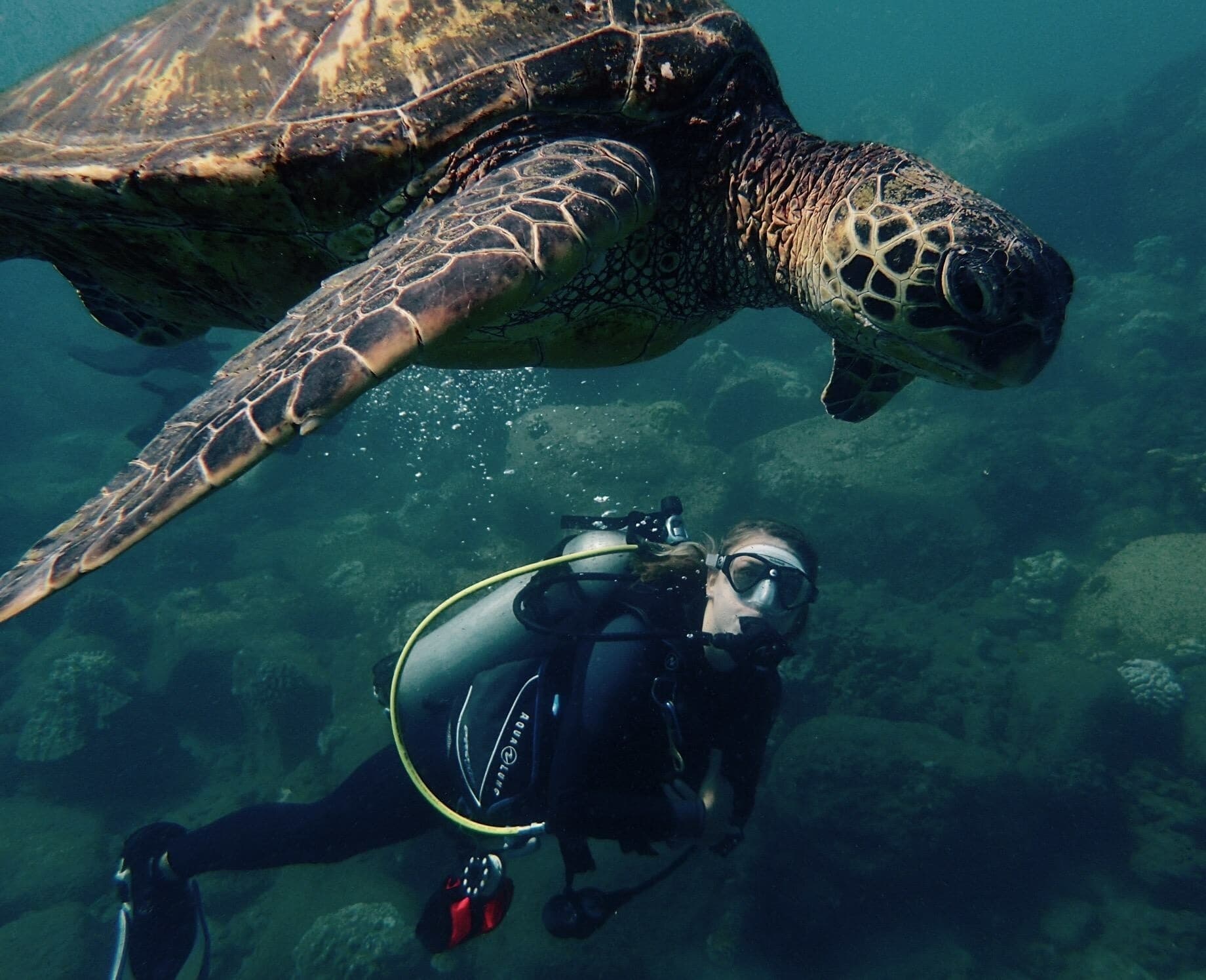 Discover Scuba Dive - 2 TANK DIVE OCEAN EXPERIENCE