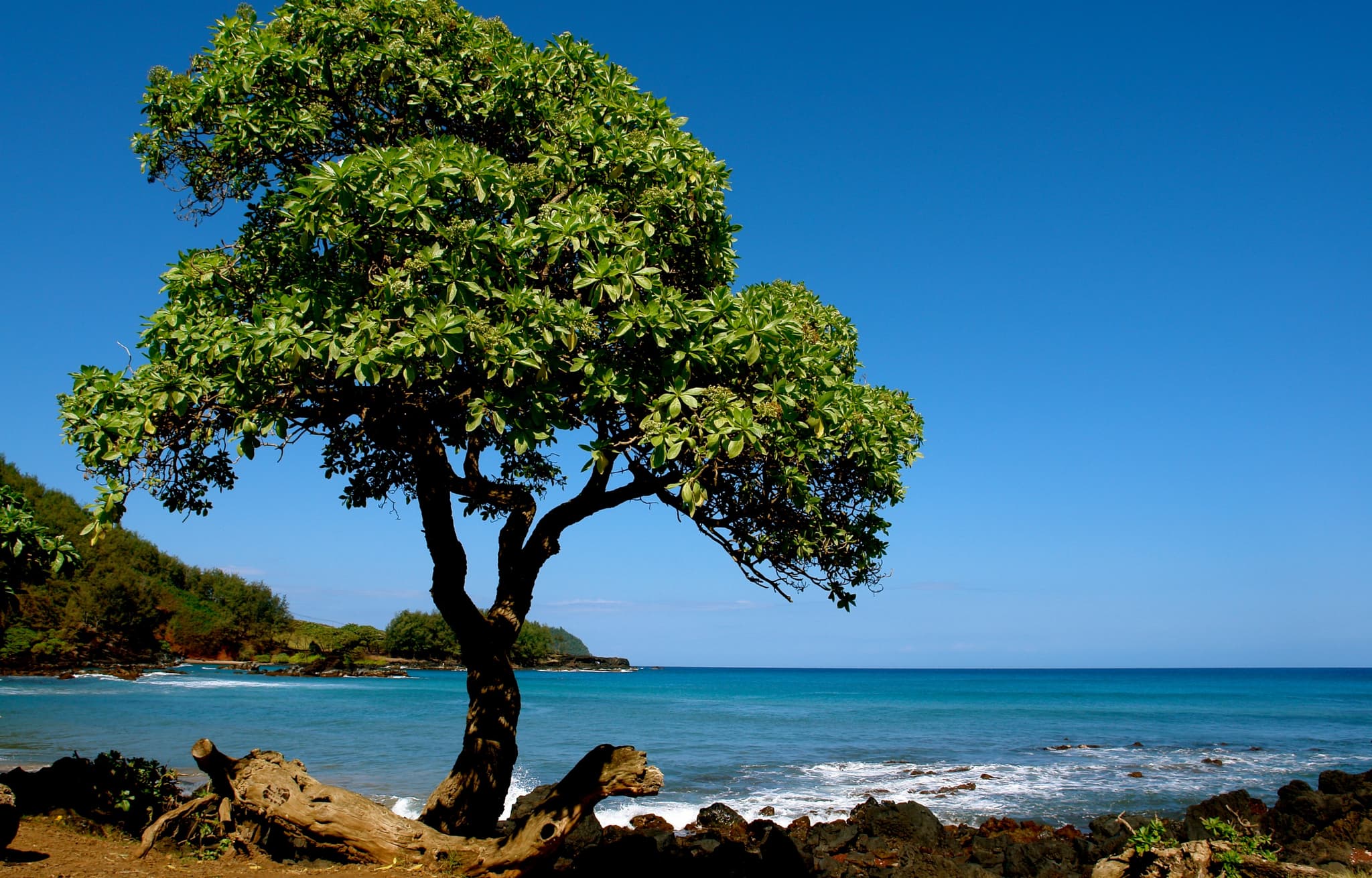 Rejs o zachodzie słońca z kolacją! - Star of Honolulu