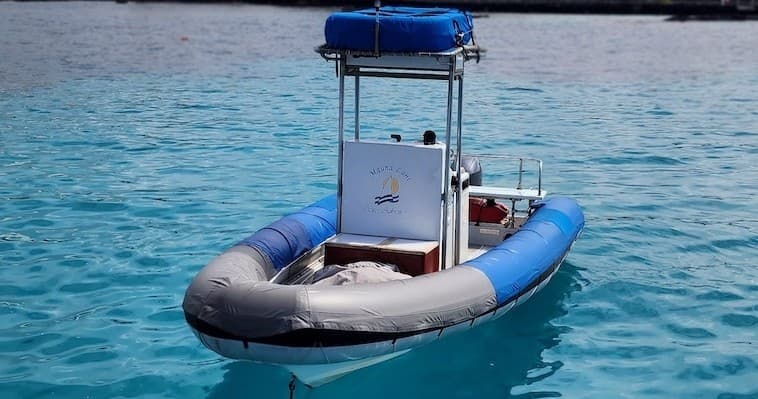 Small Group Snorkel & Dolphin Charter | Departs from Keauhou Bay