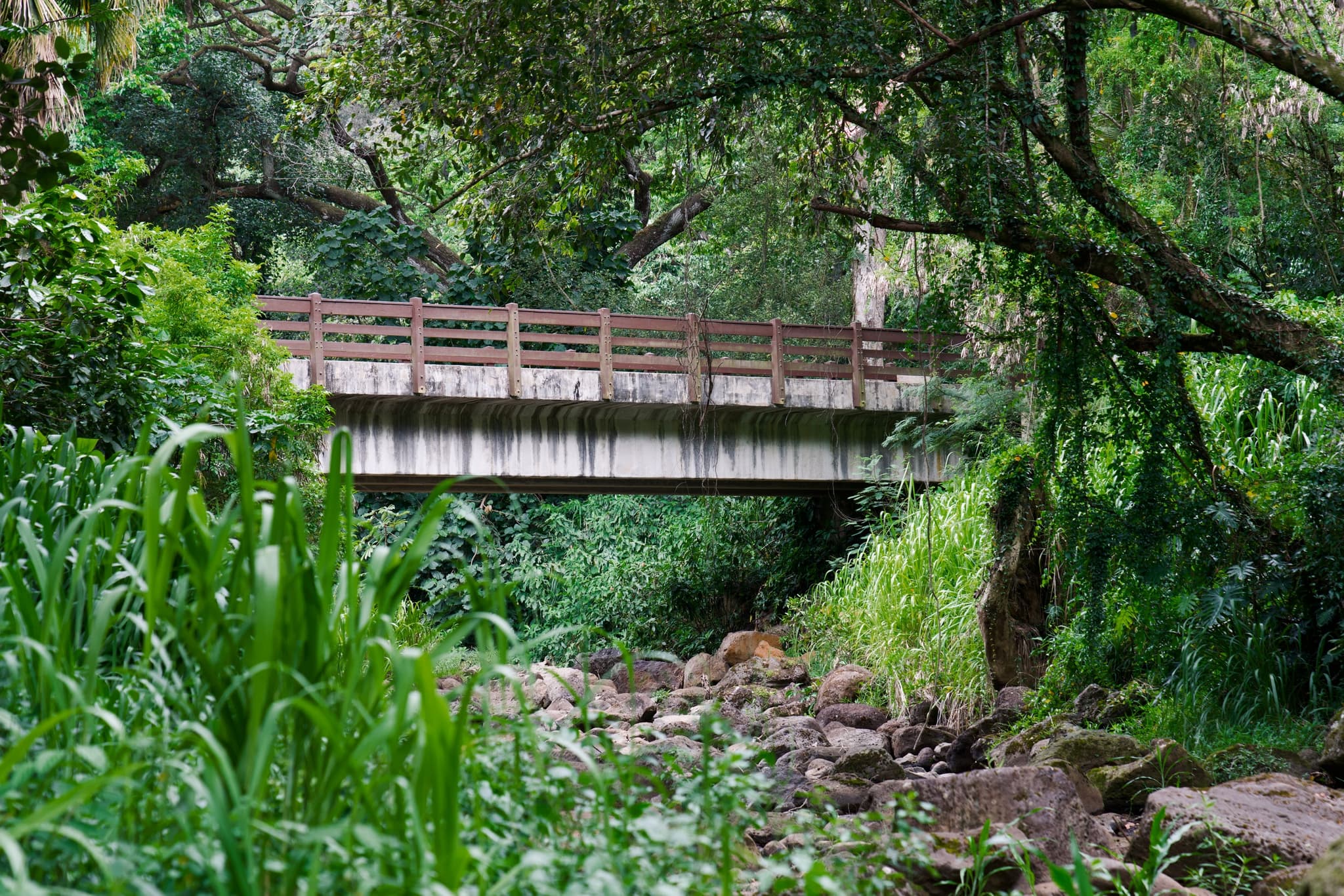 Custom Oahu Private Tour