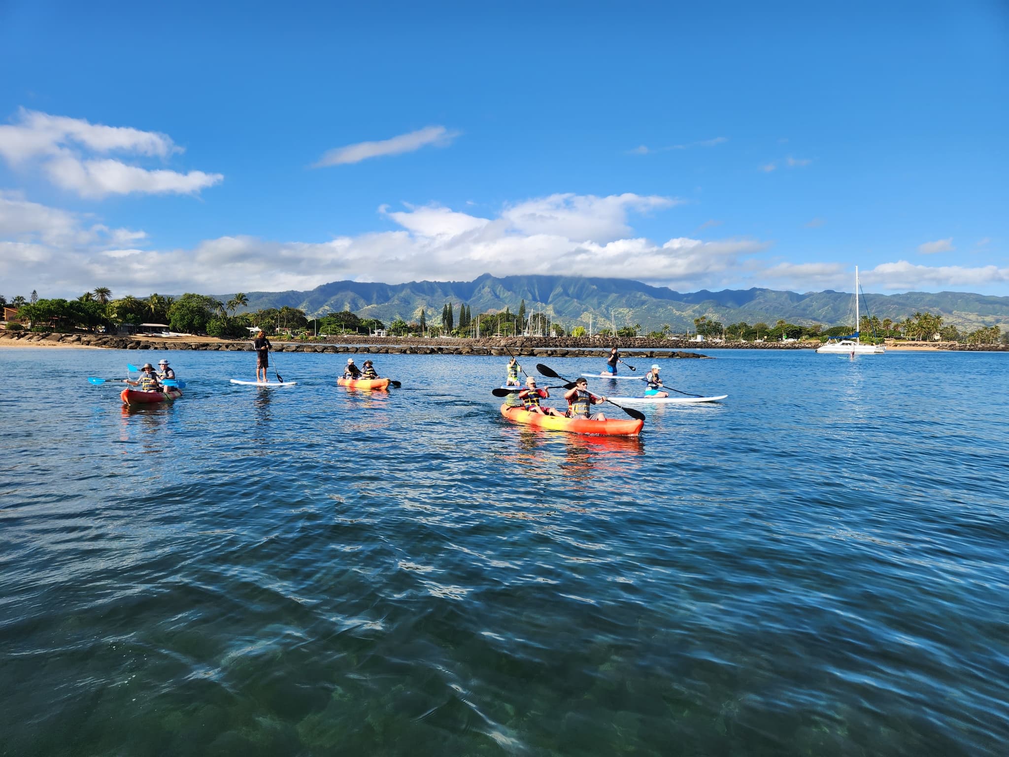 Nature & Turtle Tour