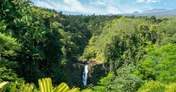Big Island Private Tours From Kona
