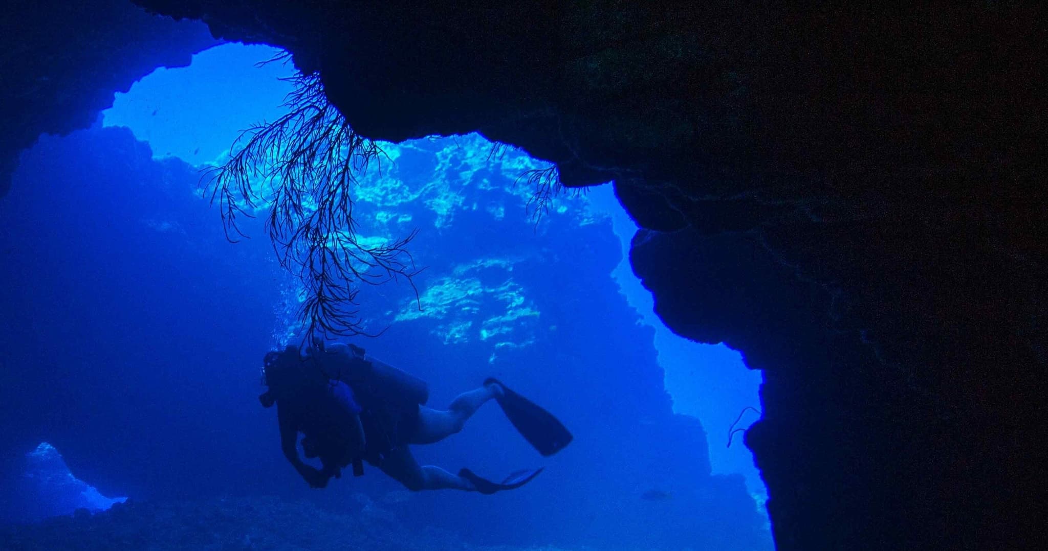 SCUBA Lana'i: 2 Tank Adventure