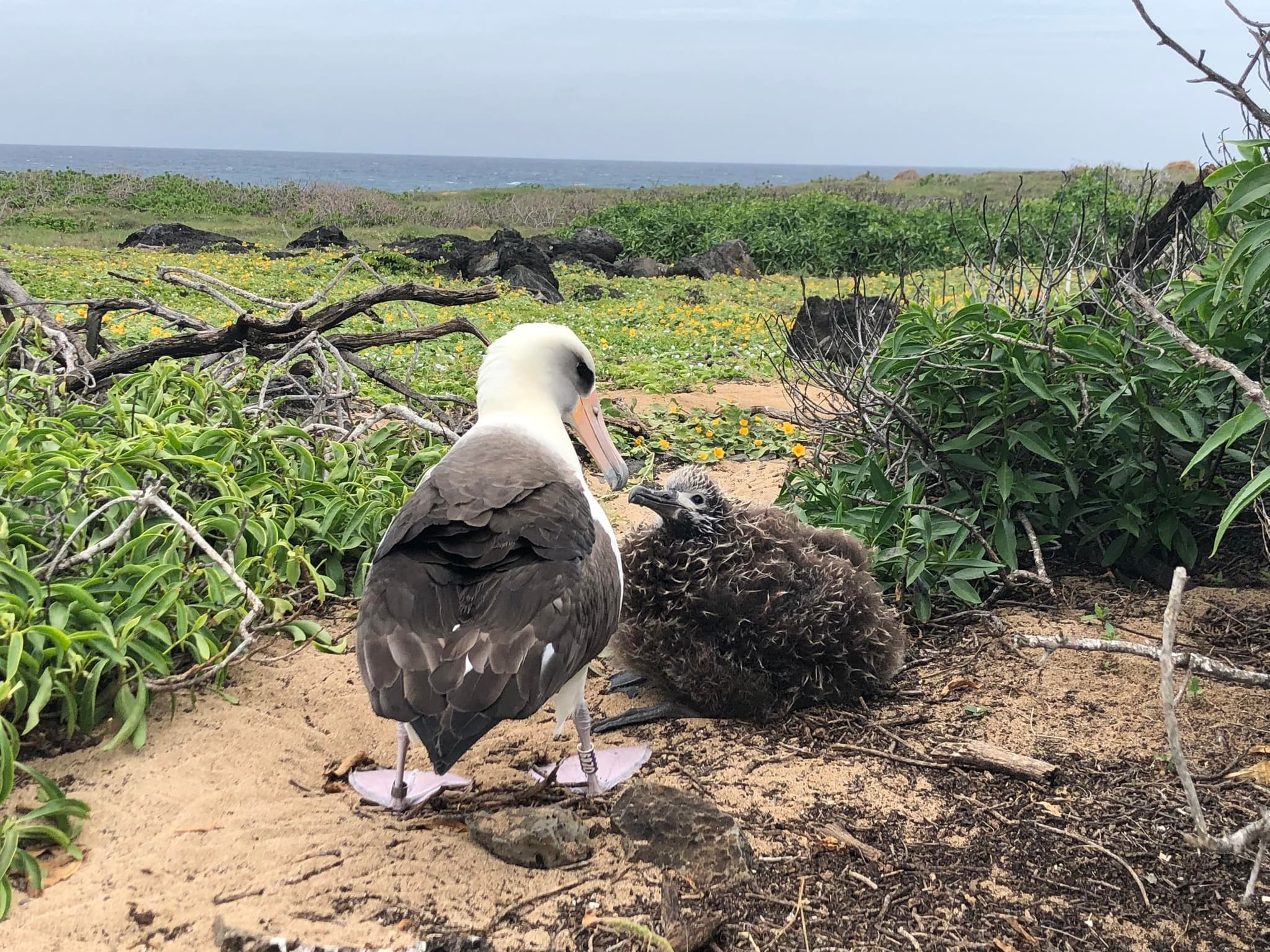 Off-Road Adventure Tour On Oahu’s North Shore