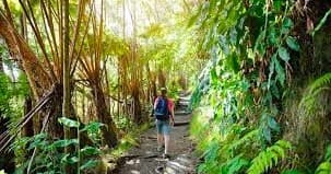 Explore the Kaloko Trail 🥾