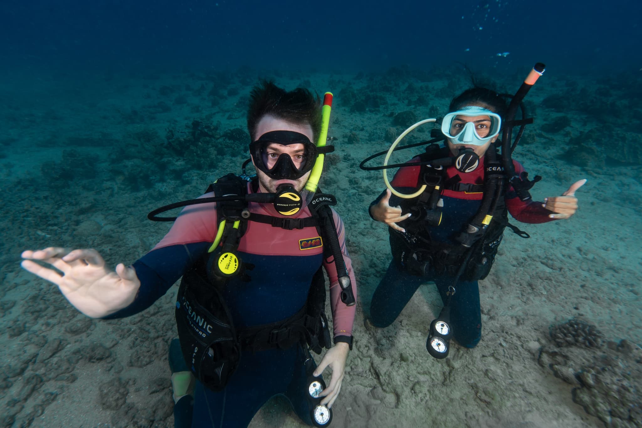 PADI Scuba Diver