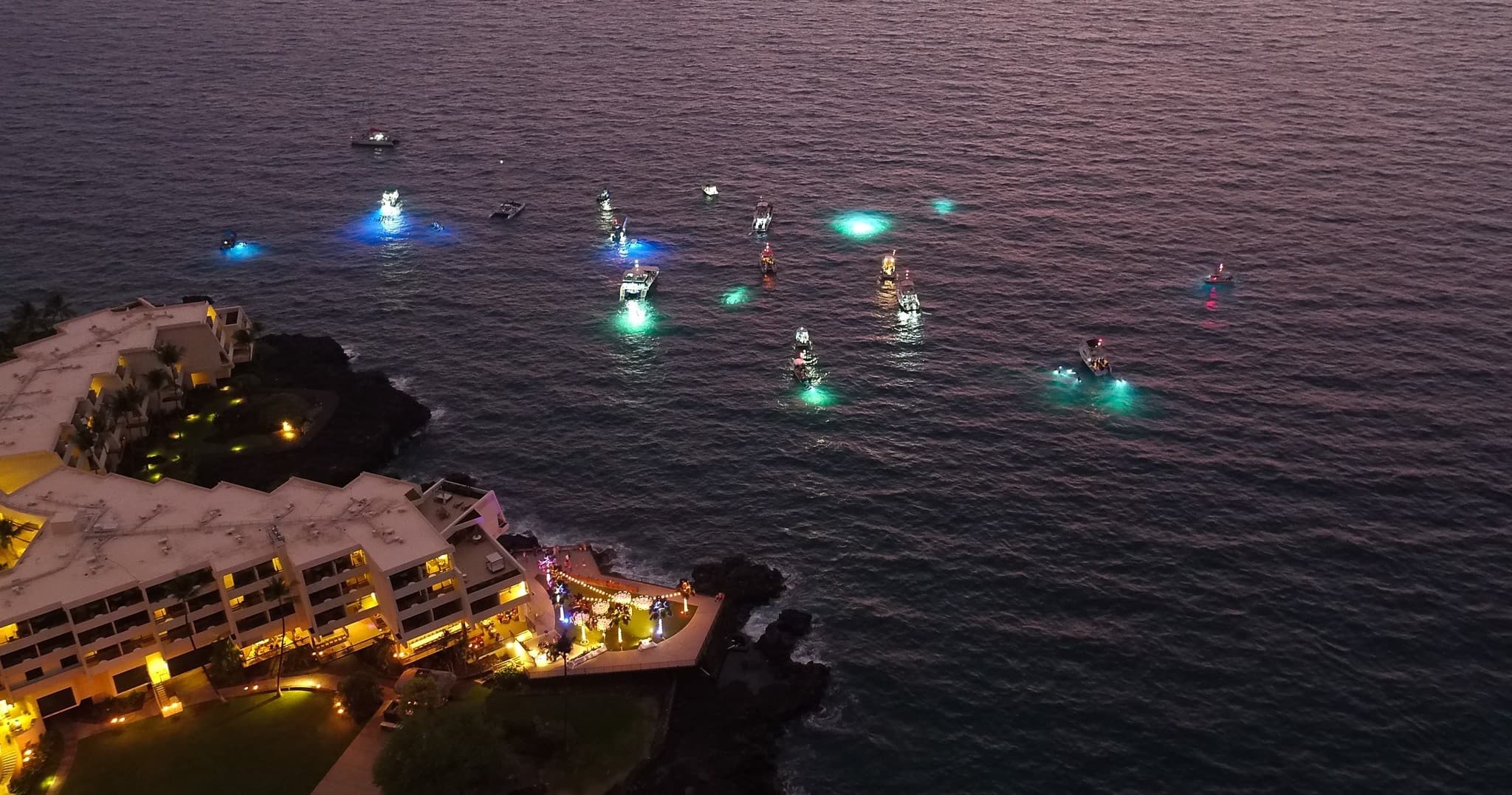 Night Manta Ray Snorkeling Tour