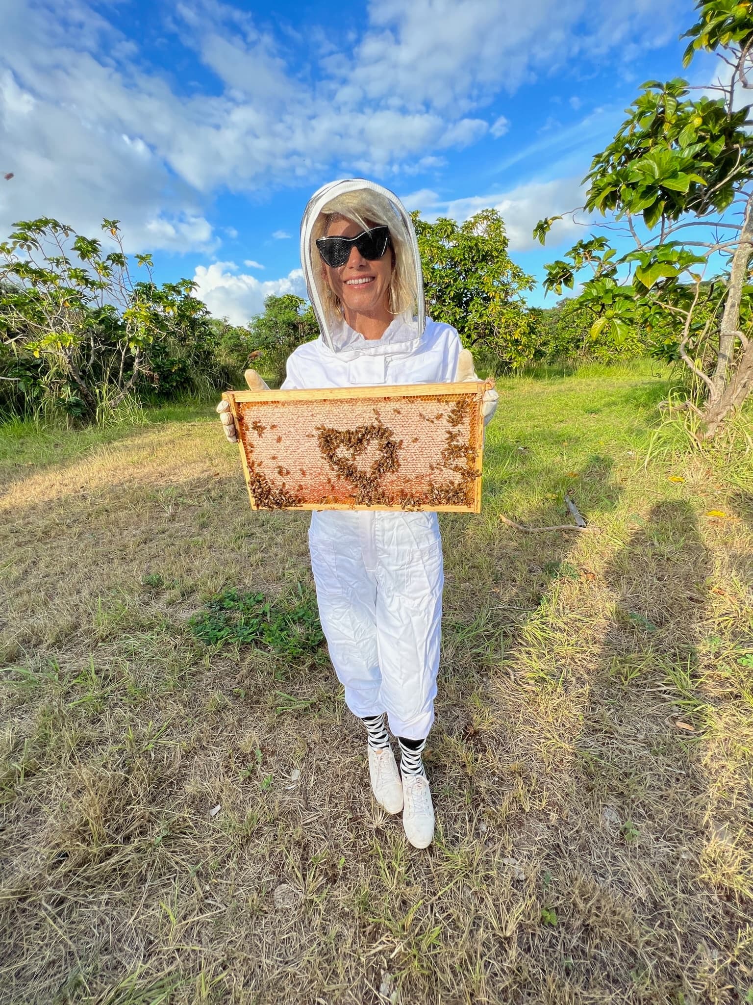 North Shore Apiary Tour & Honey Tasting
