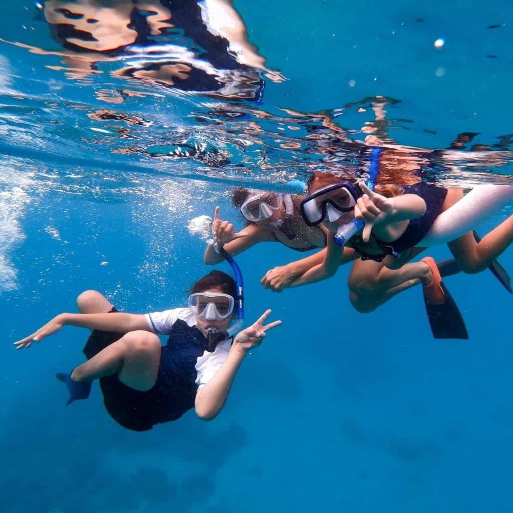 Semi-Private 3 Hour Eco-Raft Maui Turtle Snorkel