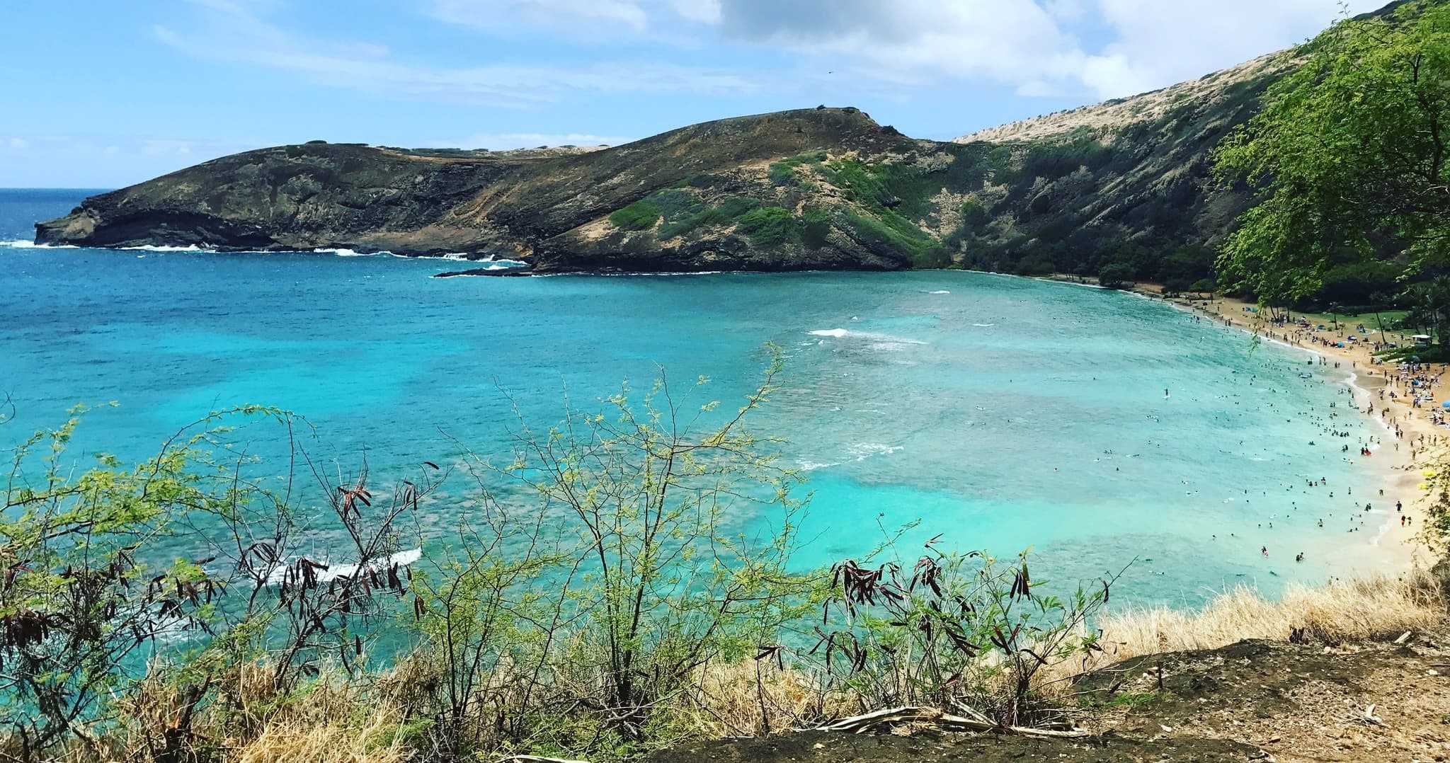 Aloha Beach Tour • Hanauma Bay