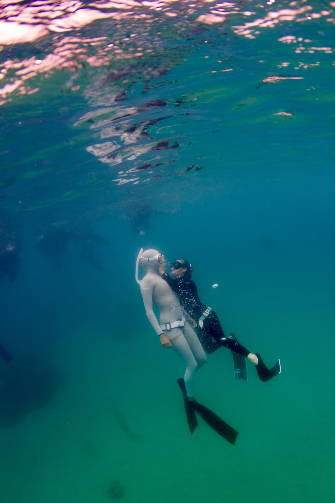 Fii Freediving Course