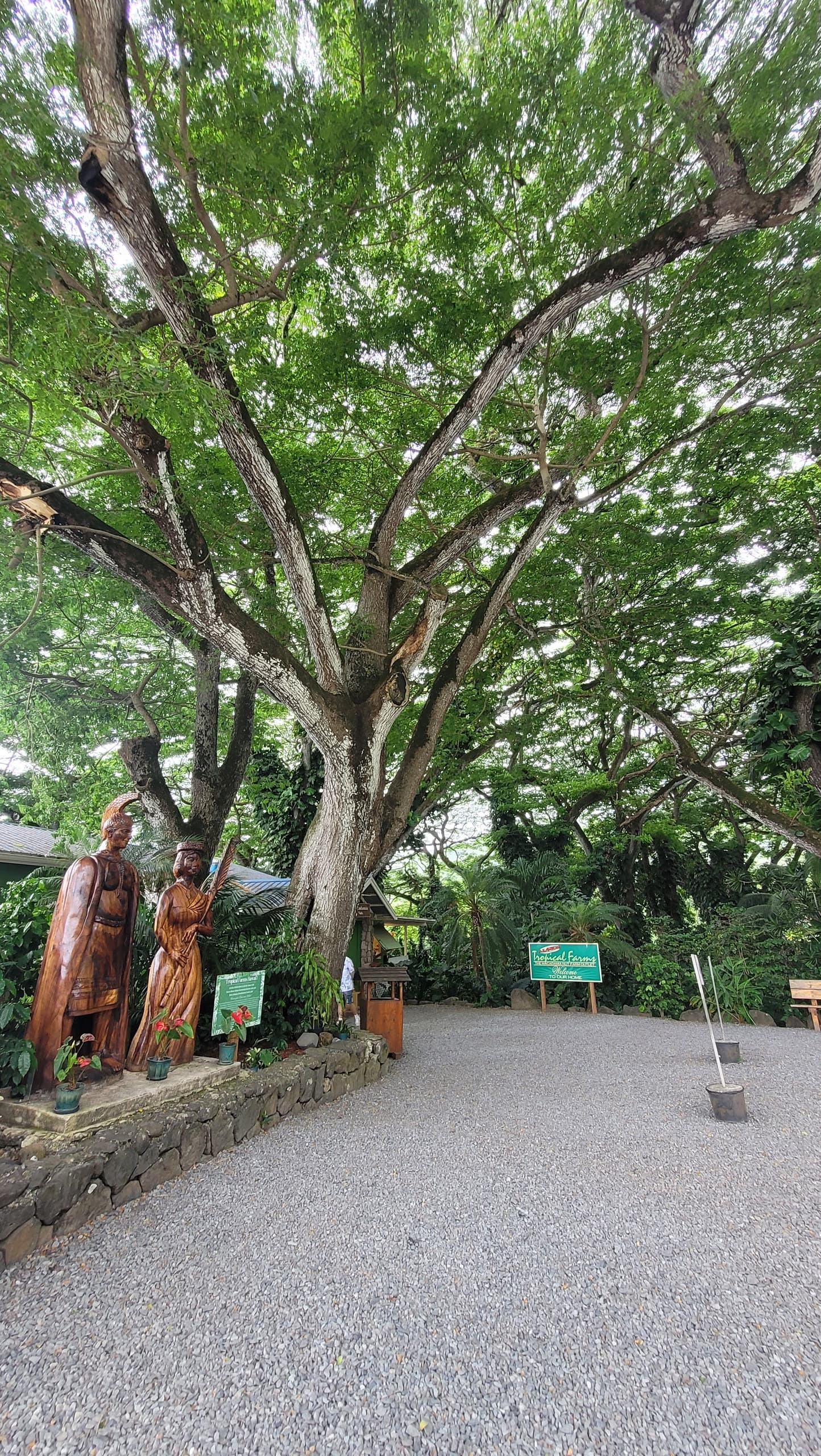 Pearl Harbor Island Tour