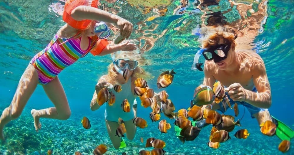 2-Hour Waikiki Snorkel & Ocean Waterpark Experience