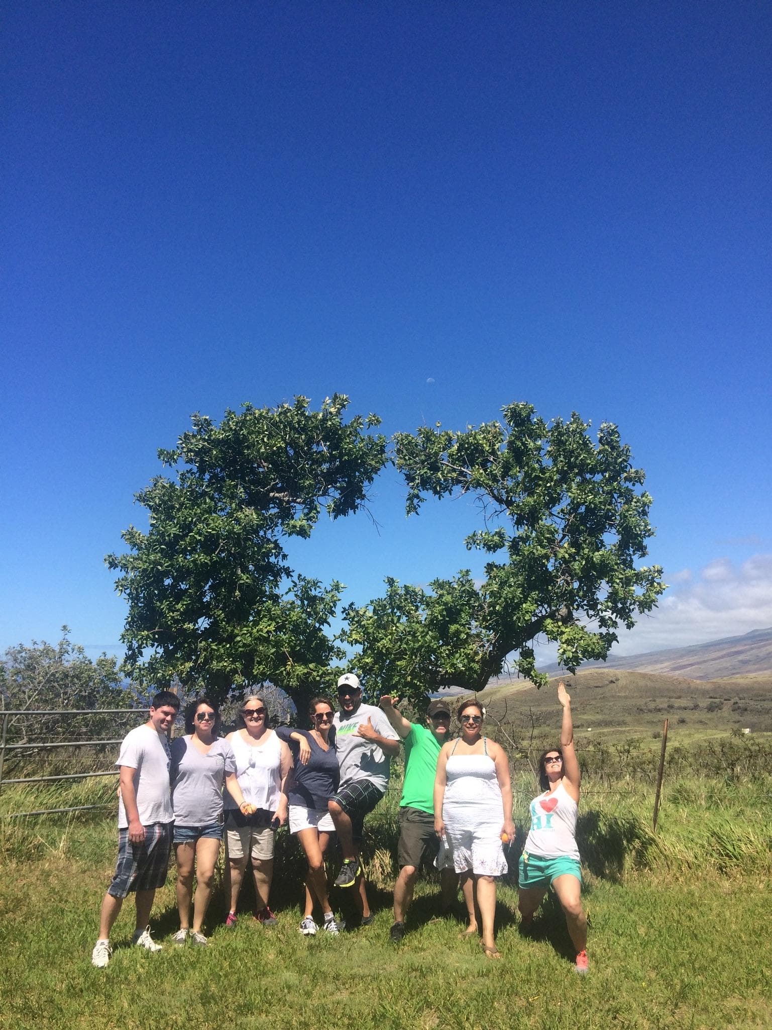 The Road to Hana Tour