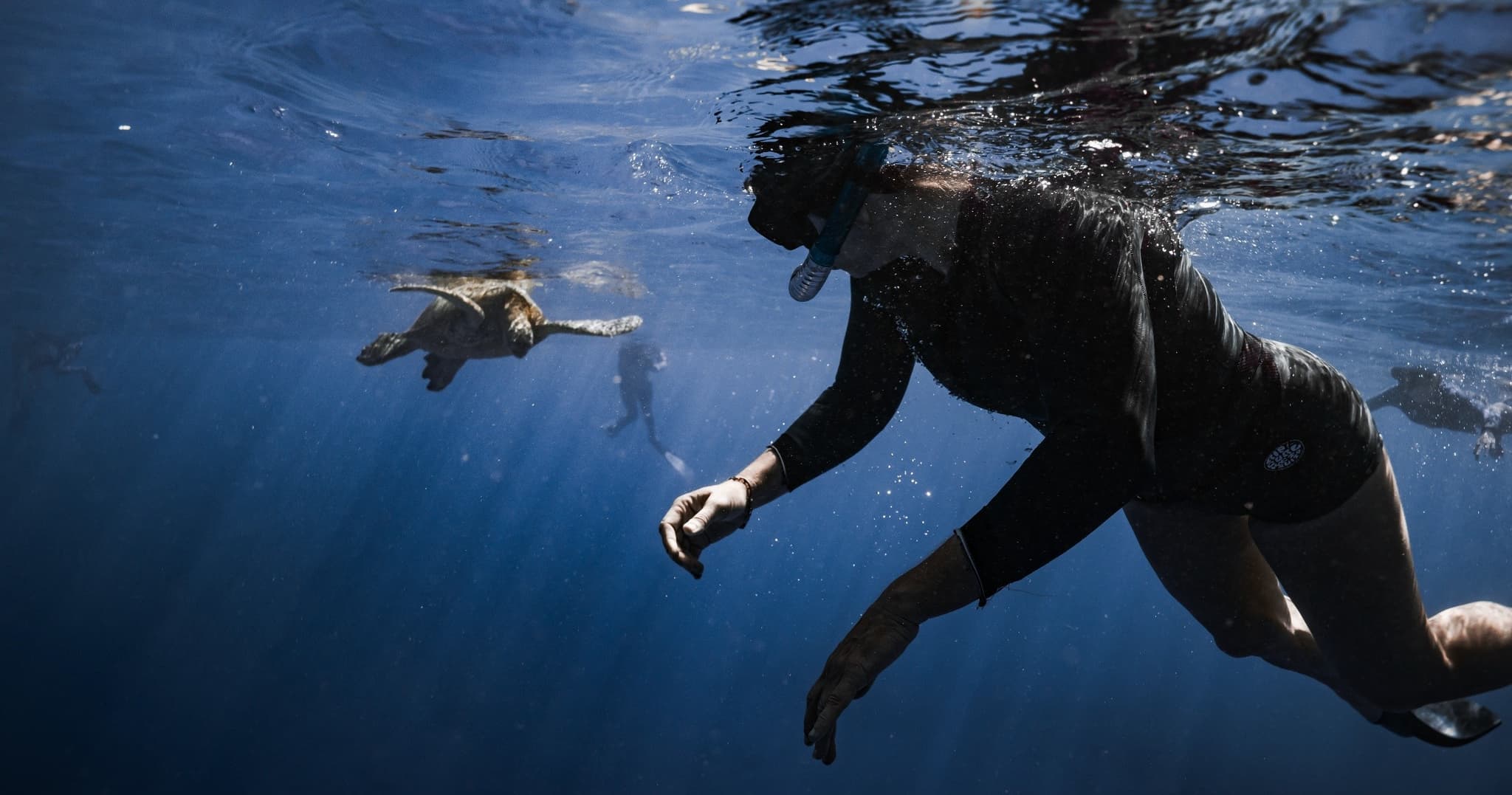 Turtle Canyon Snorkel Tour